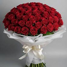 Букет 101 Красная роза Блэк Мэджик в Ивойлово