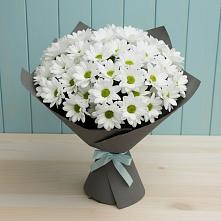 Букет цветов из:  Хризантемы #REPLACE_PRED# Ивойлово