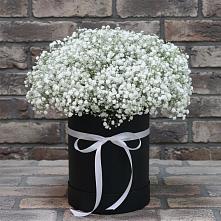 Цветочная композиция из Гипсофила в шляпной коробке в Ивойлово