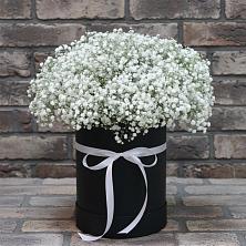 Цветочная композиция из Гипсофила в шляпной коробке в Ивойлово