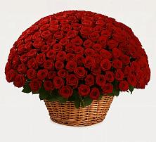 Премиум букет из: Розы в Ивойлово