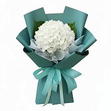Букет цветов из:  Гортензия #REPLACE_PRED# Ивойлово